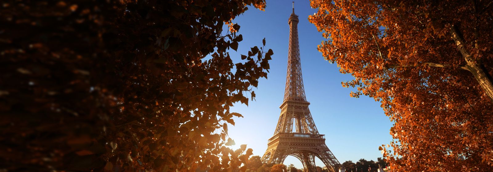 View of the Eiffel Tower through a tree with its leaves in Fall colors