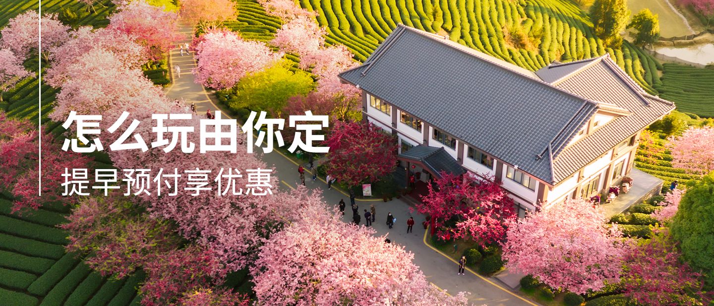 怎么玩 由你定
