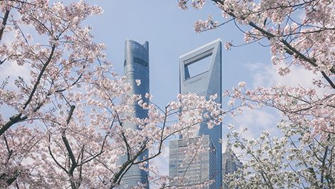 上海