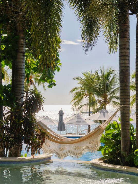 dreamy white hammock among tropical foliage overlooking the ocean