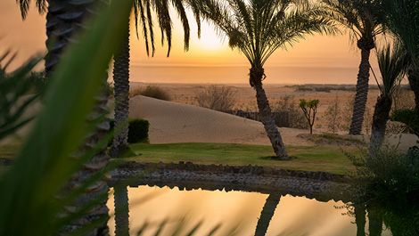 الظفرة
