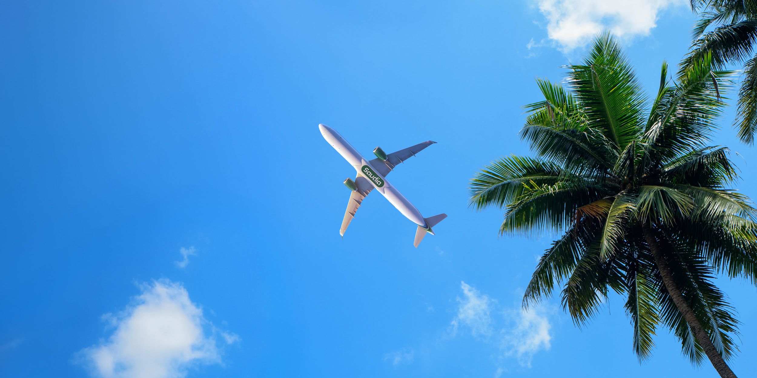 طائرة تابعة للخطوط السعودية تحلق عالياً في سماء زرقاء صافية