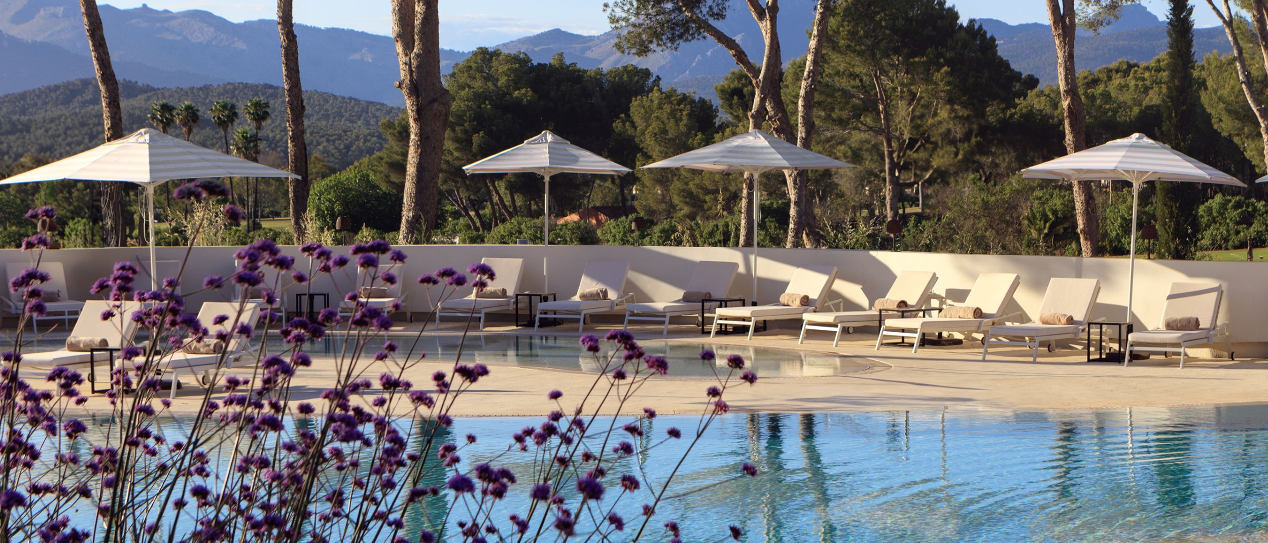 A pool with patio lounge chairs and umbrellas sit within a lush forested valley.