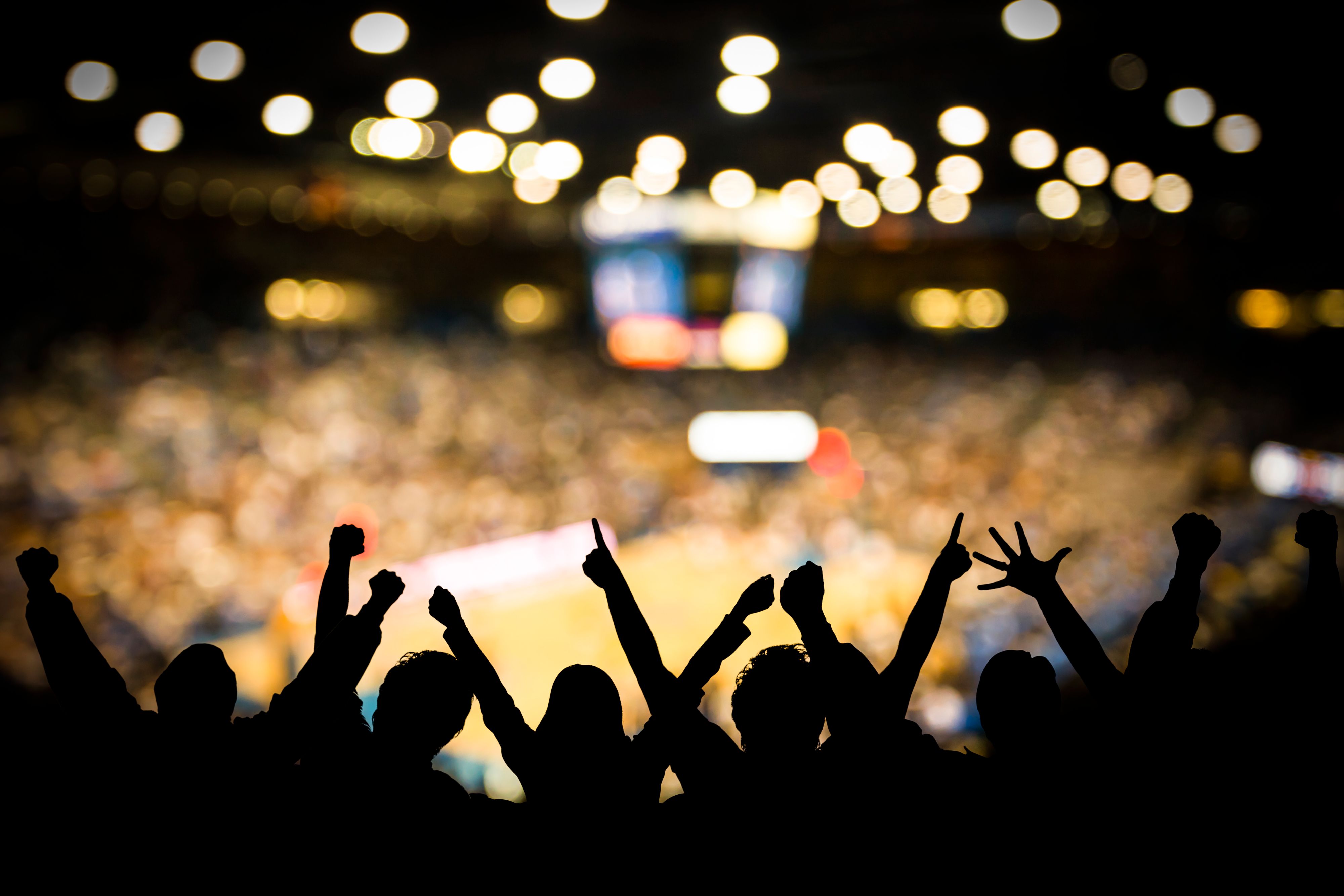 Fans at a basketball game