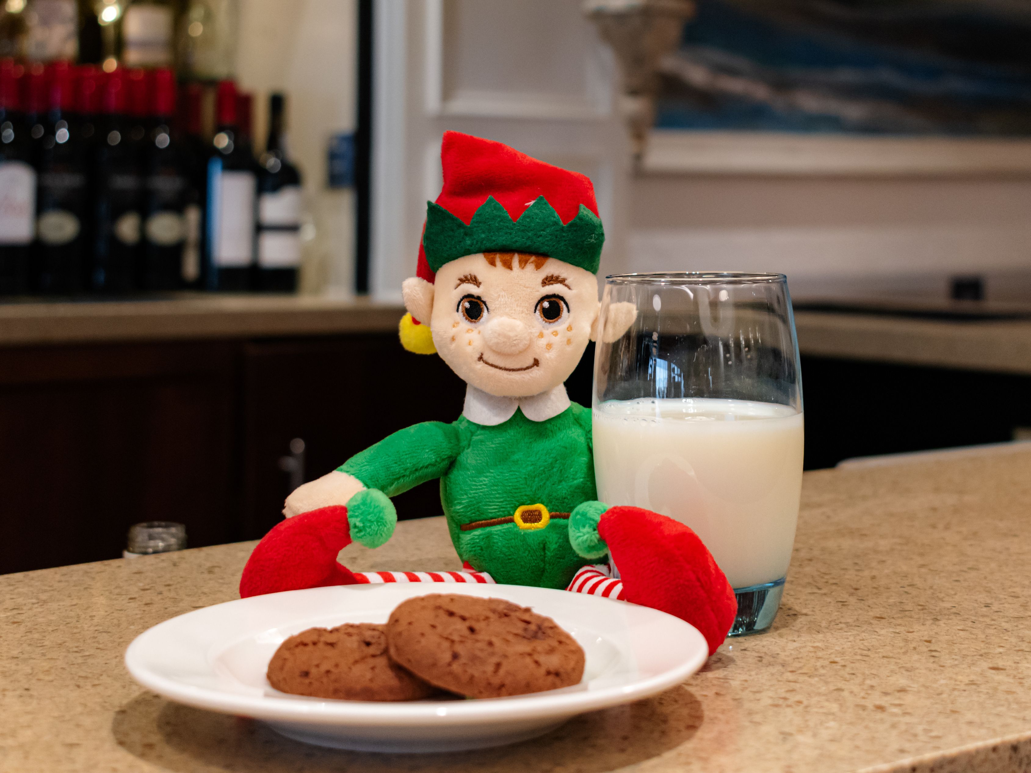 Christmas elf and cookies
