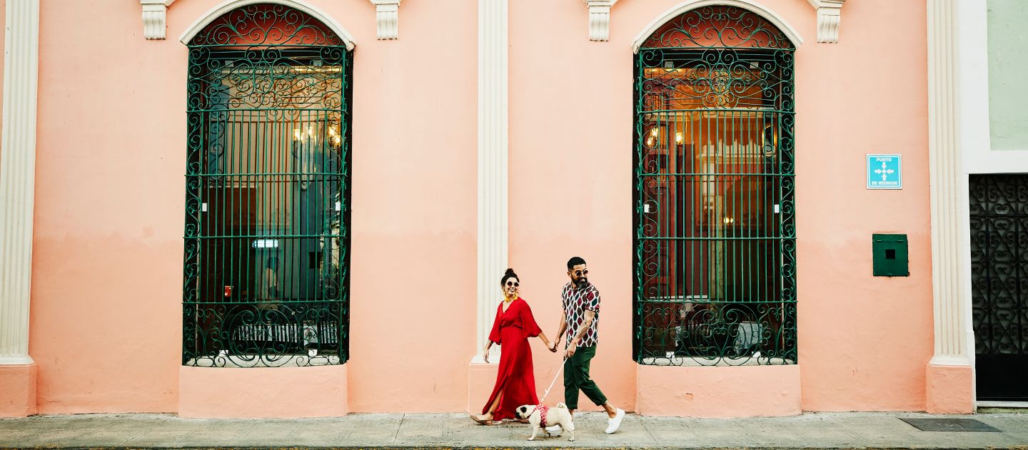 Pasangan membawa anjing berjalan-jalan