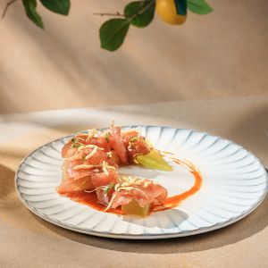 Salmon appetizer plated with sauce and garnish