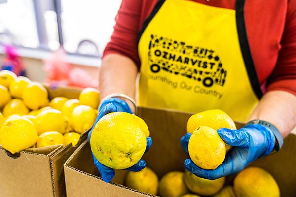 Food Rescue from our Hotels & Resorts