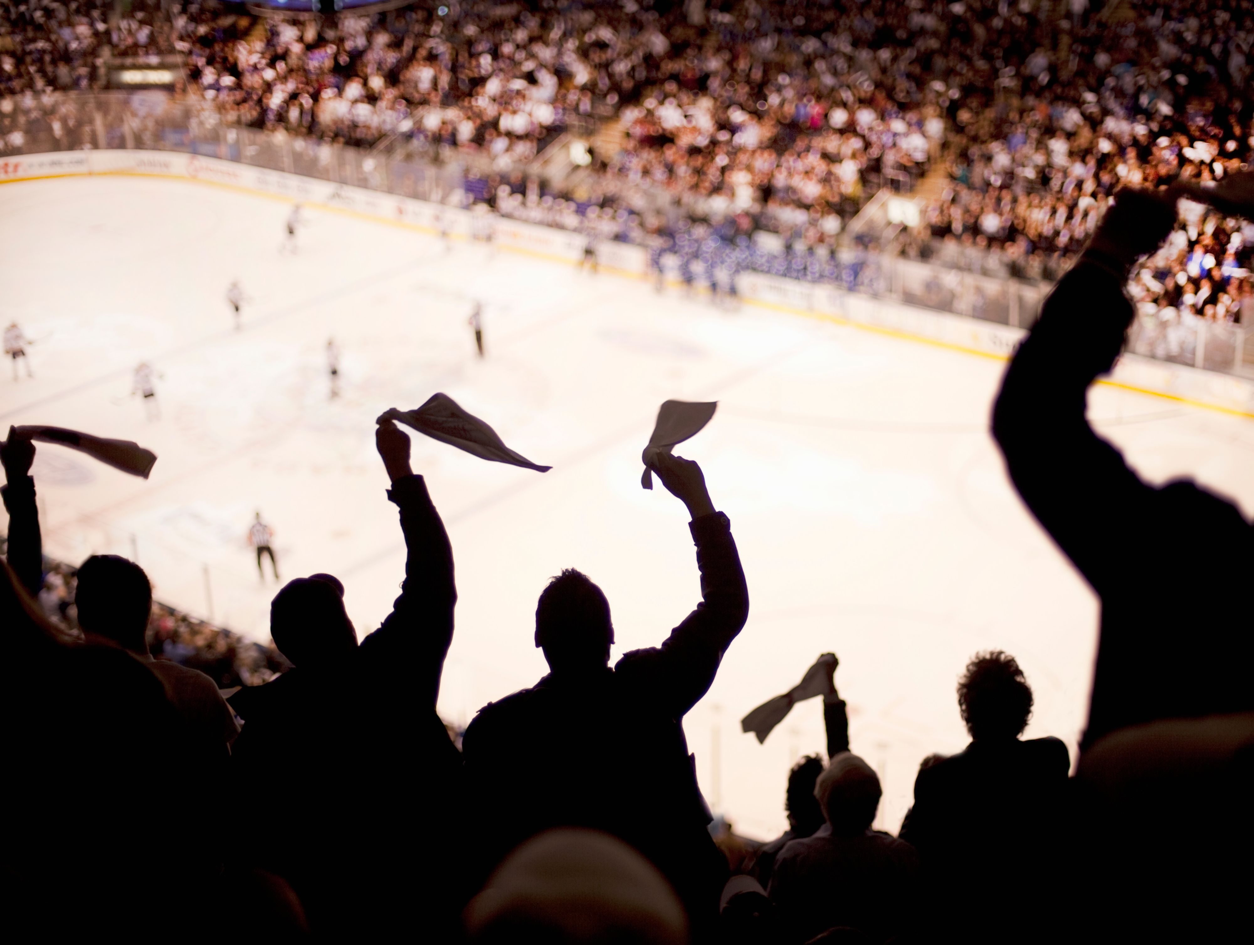 Sports fans at Ice hockey game cheering after goal scored.