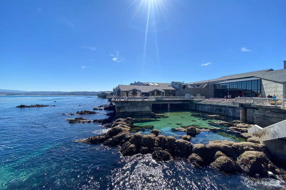 Monterey Bay tidepool