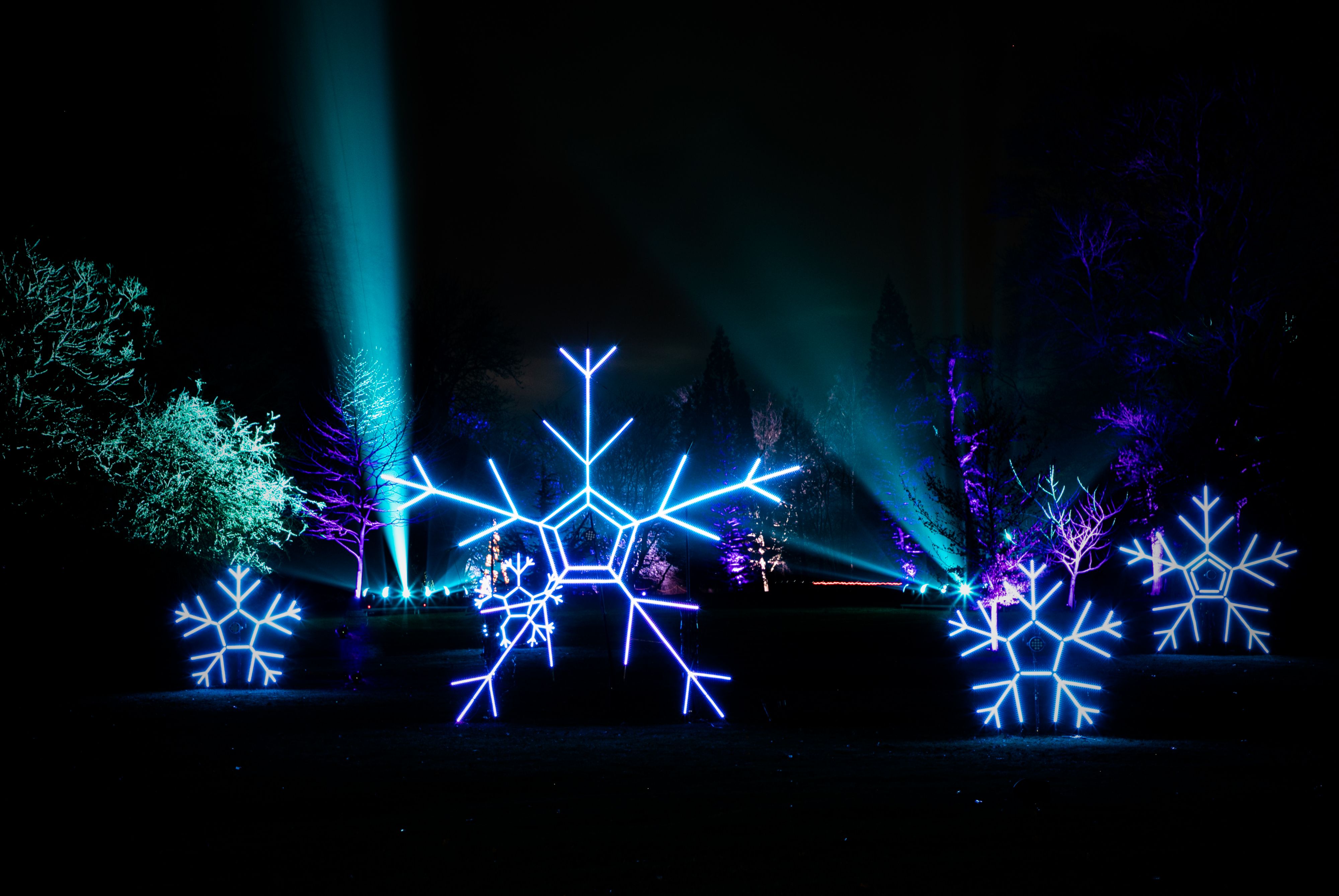 Glowing christmas lights