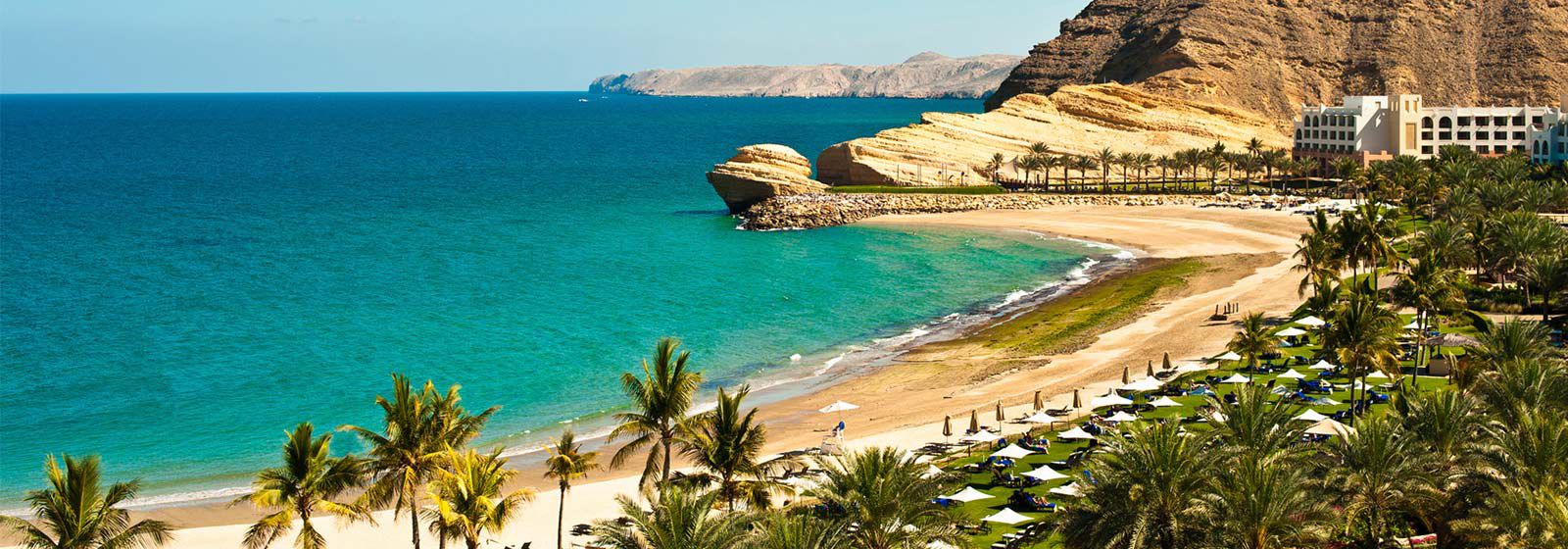 Duqm 海岸景觀與棕櫚樹和沙灘