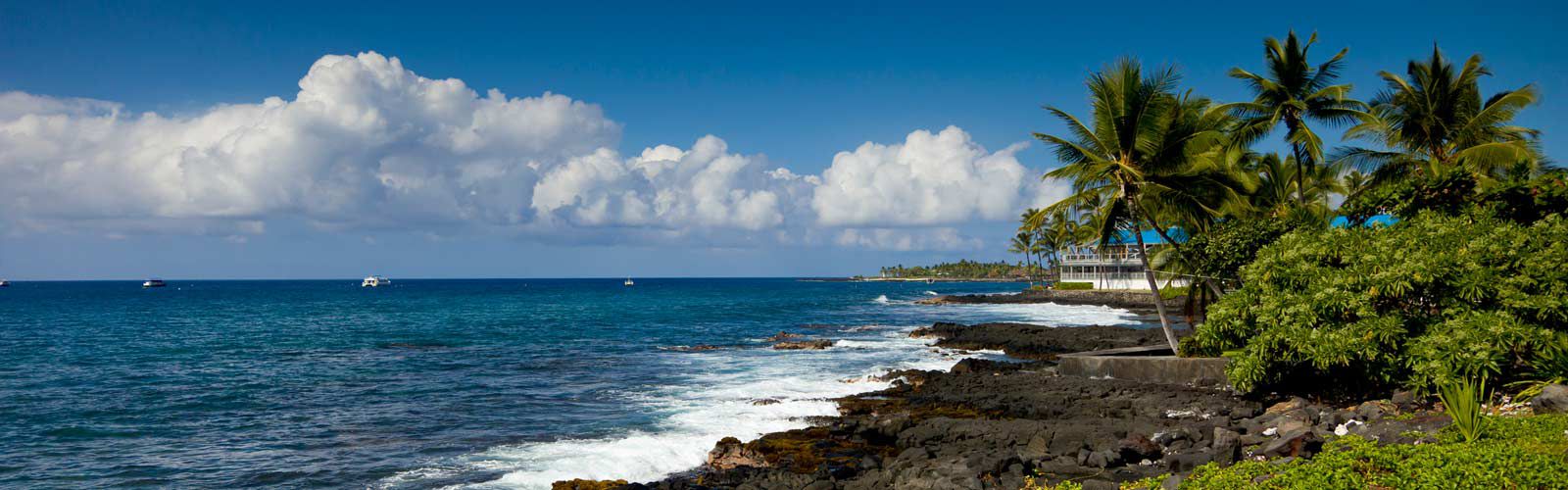 Coastline of lava rocks an palm trees