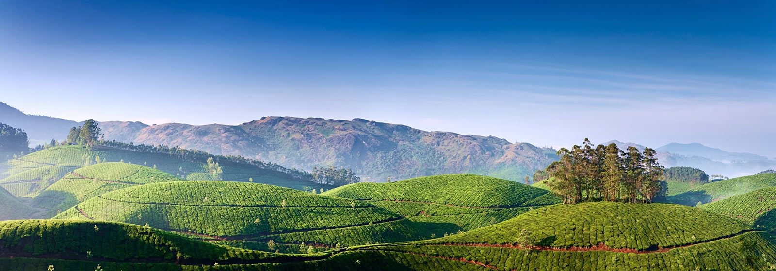 Beautiful valley and mountain view in Kochi India