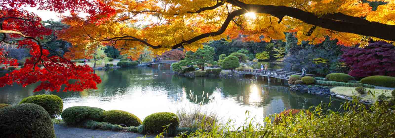 View of Shinjuku Gyoen National Garden in autumn, Tokyo.