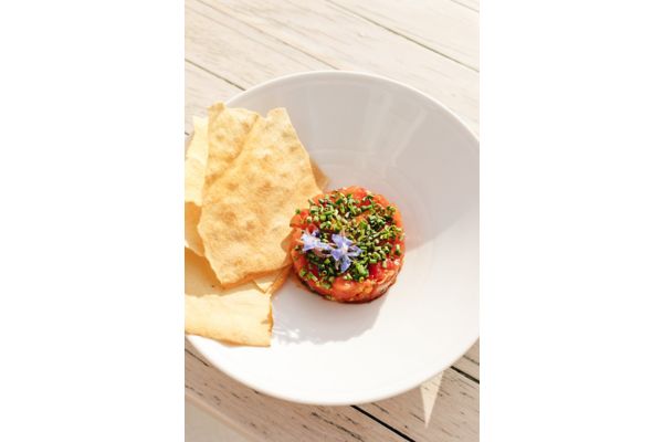 tune tartar