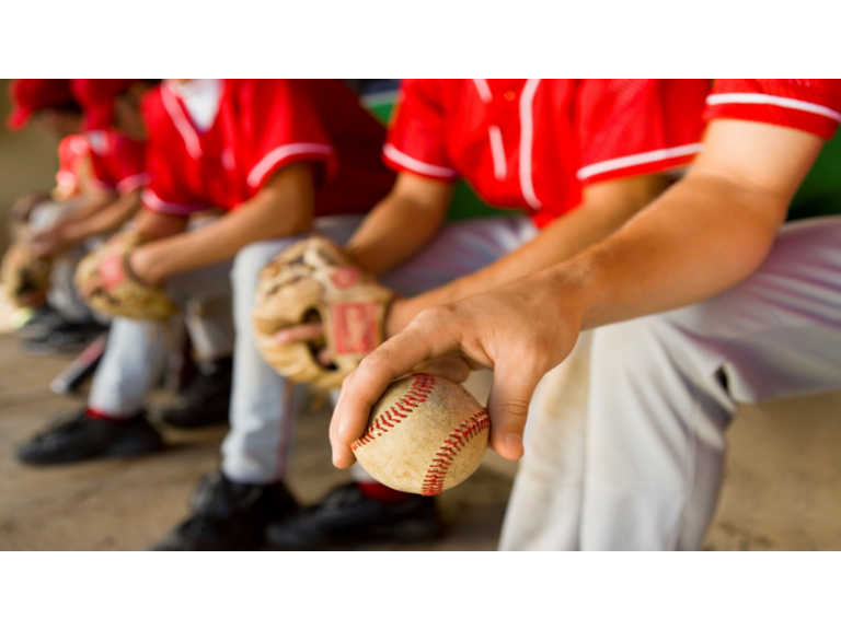 Sports Fans Offer