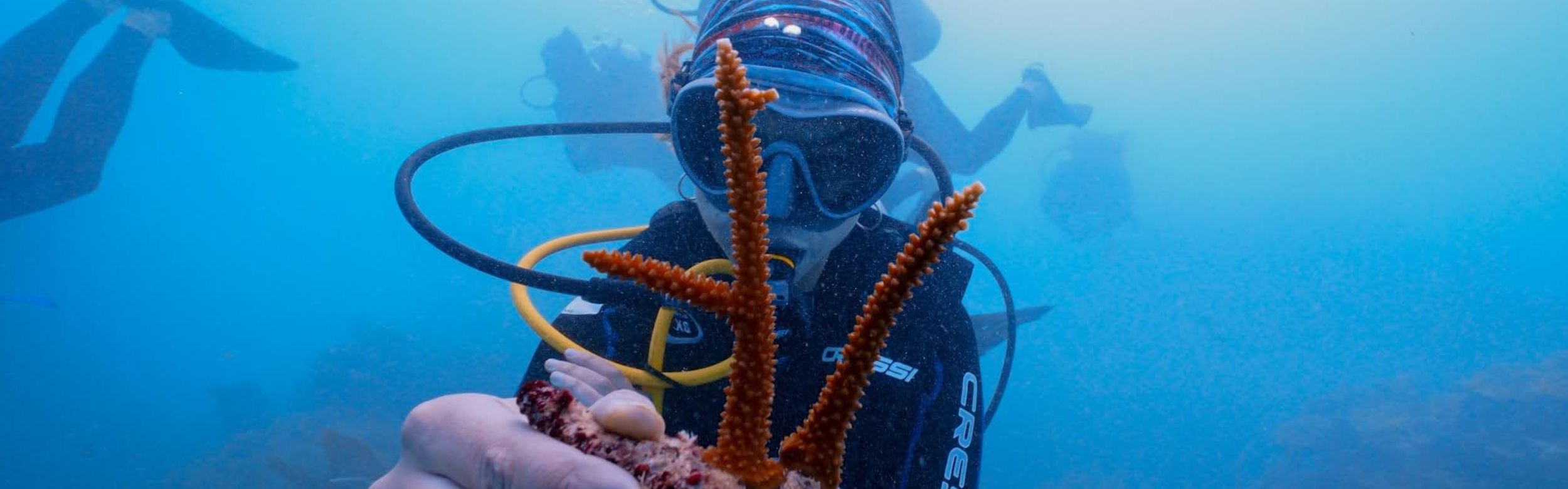 Scuba diver holding orange coral branch underwater