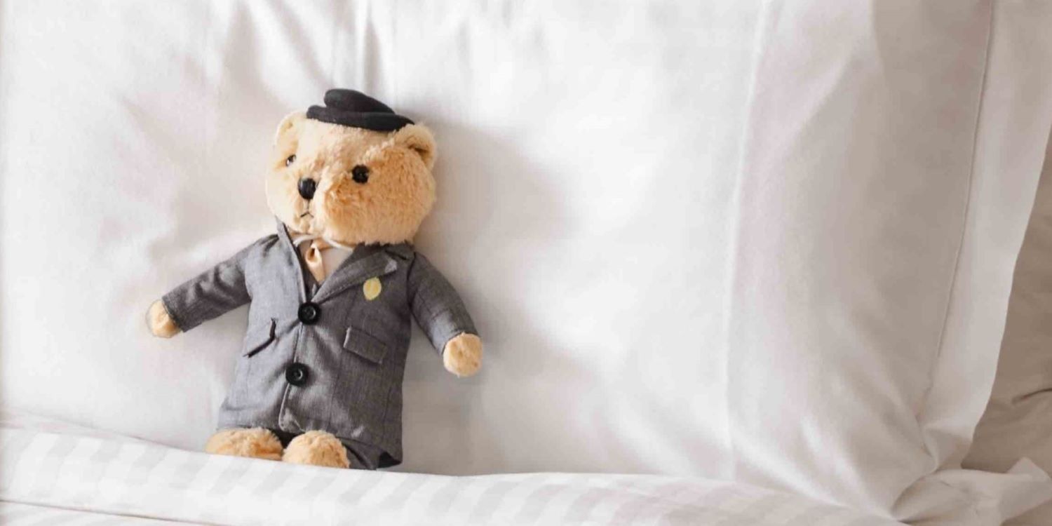 Teddy on a hotel bed