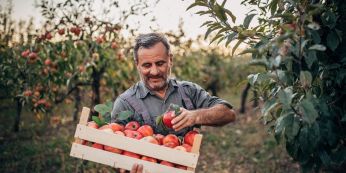 Mãi là nhịp cầu tuyệt vời