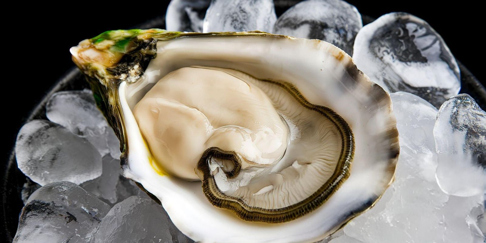 Freshly shucked oysters served with pure ocean-inspired elegance.