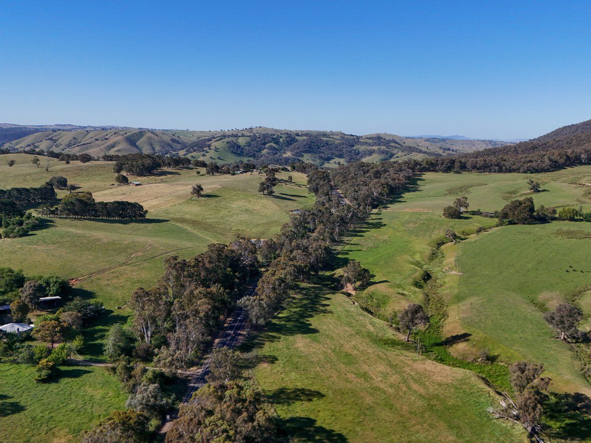 Rolling green valley landscape with scattered trees.