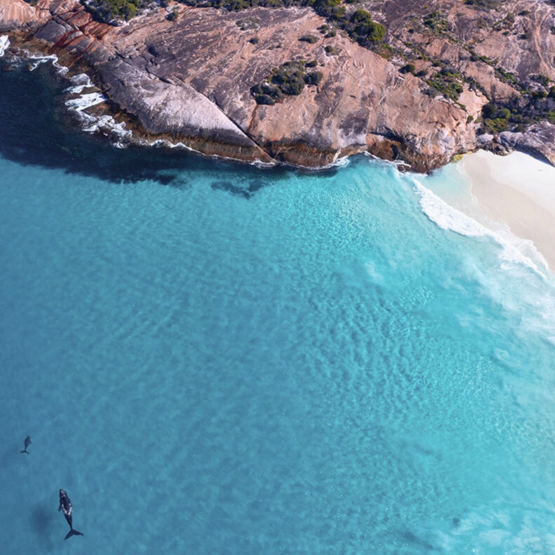 perth ocean
