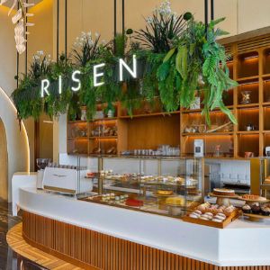 Risen café counter with pastries and hanging plants