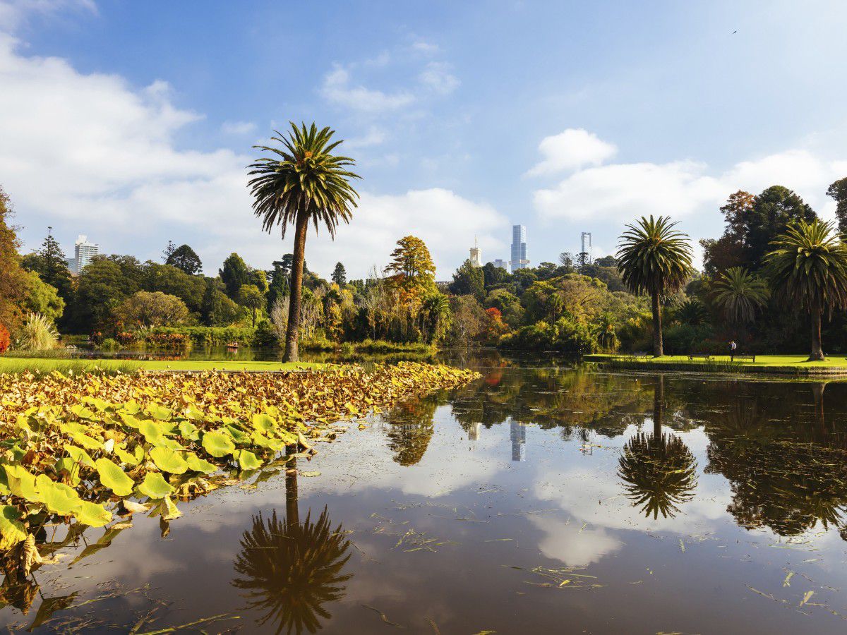 Lush botanical gardens with tranquil lake and palms