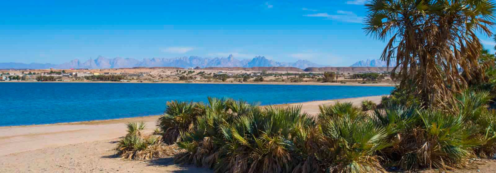 Coastal scene, near Duba