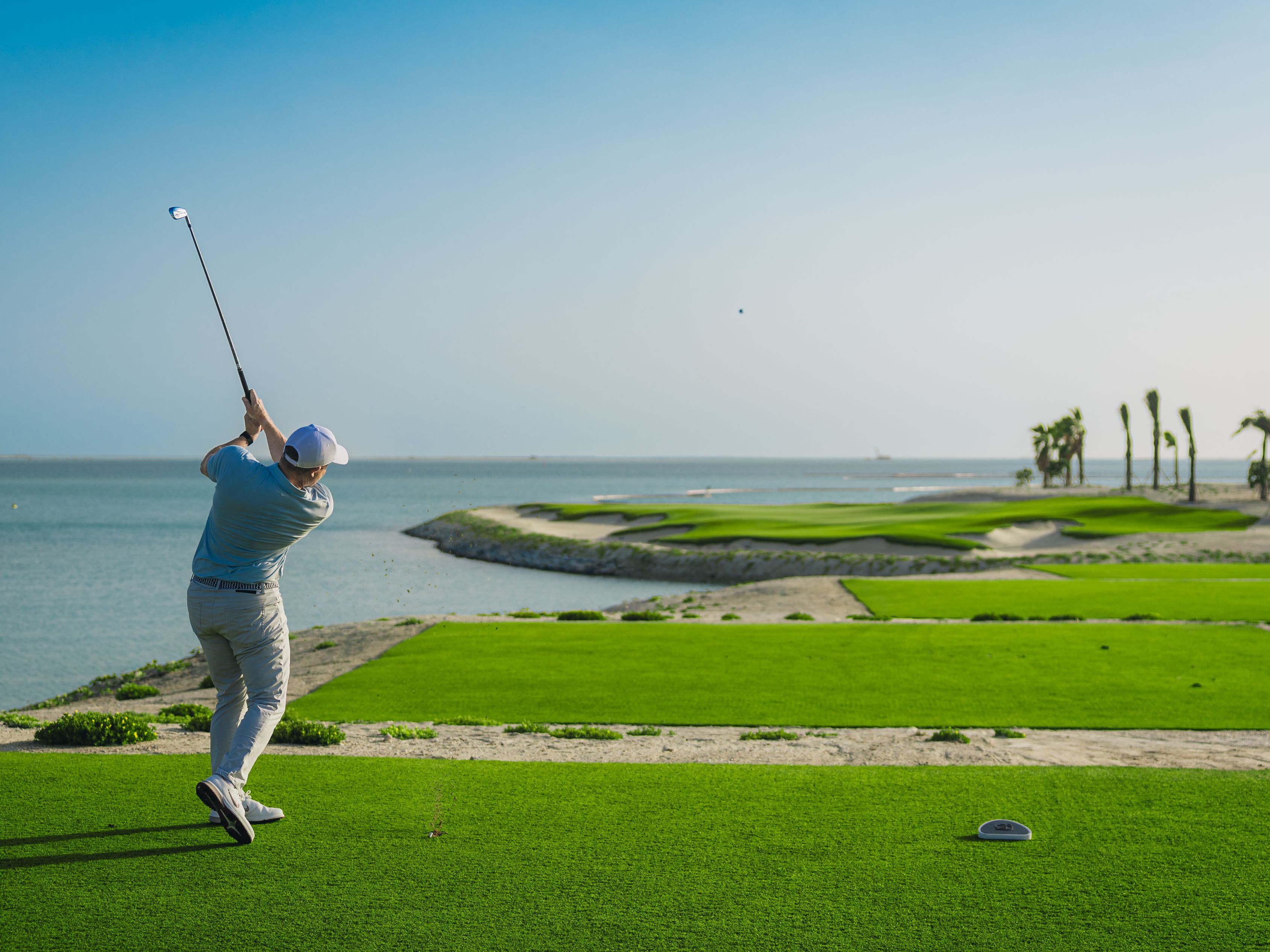 Puppy playing with champagne toy on hotel bed.