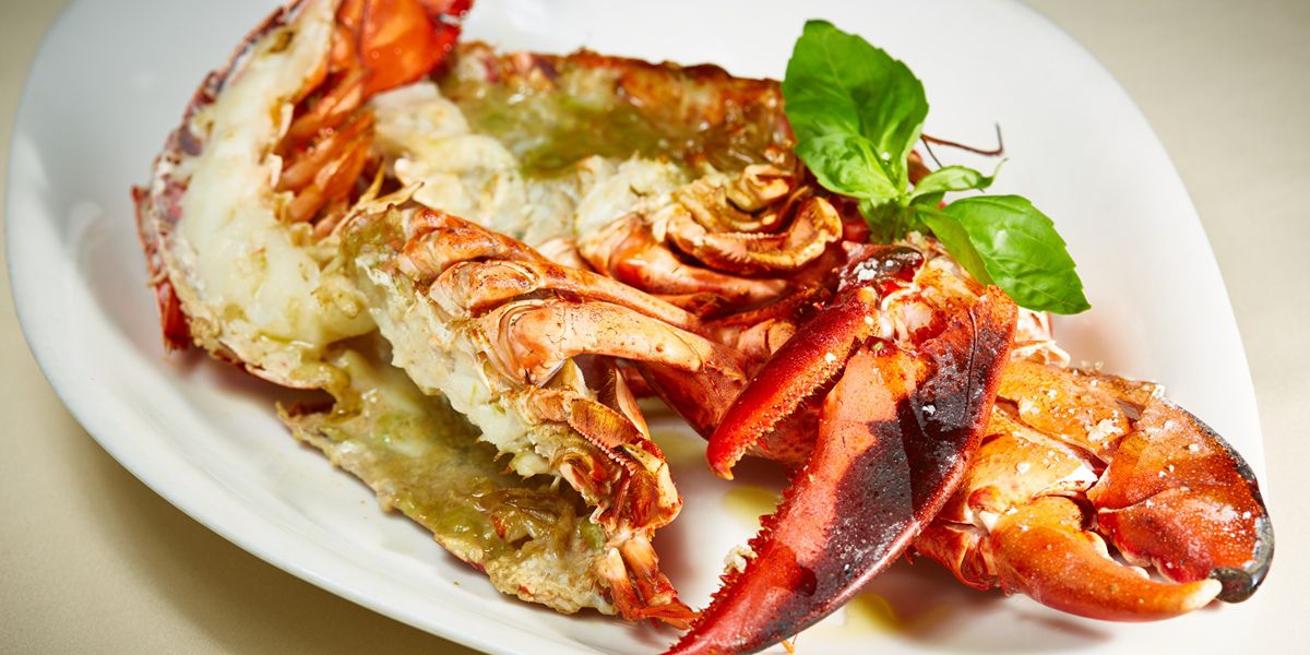 Grilled lobster with melted cheese and herbs.
