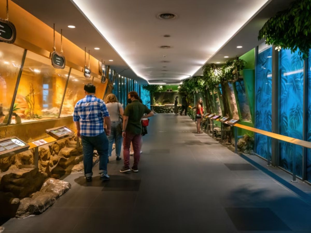 Interactive indoor exhibit corridor with visitors exploring displays.