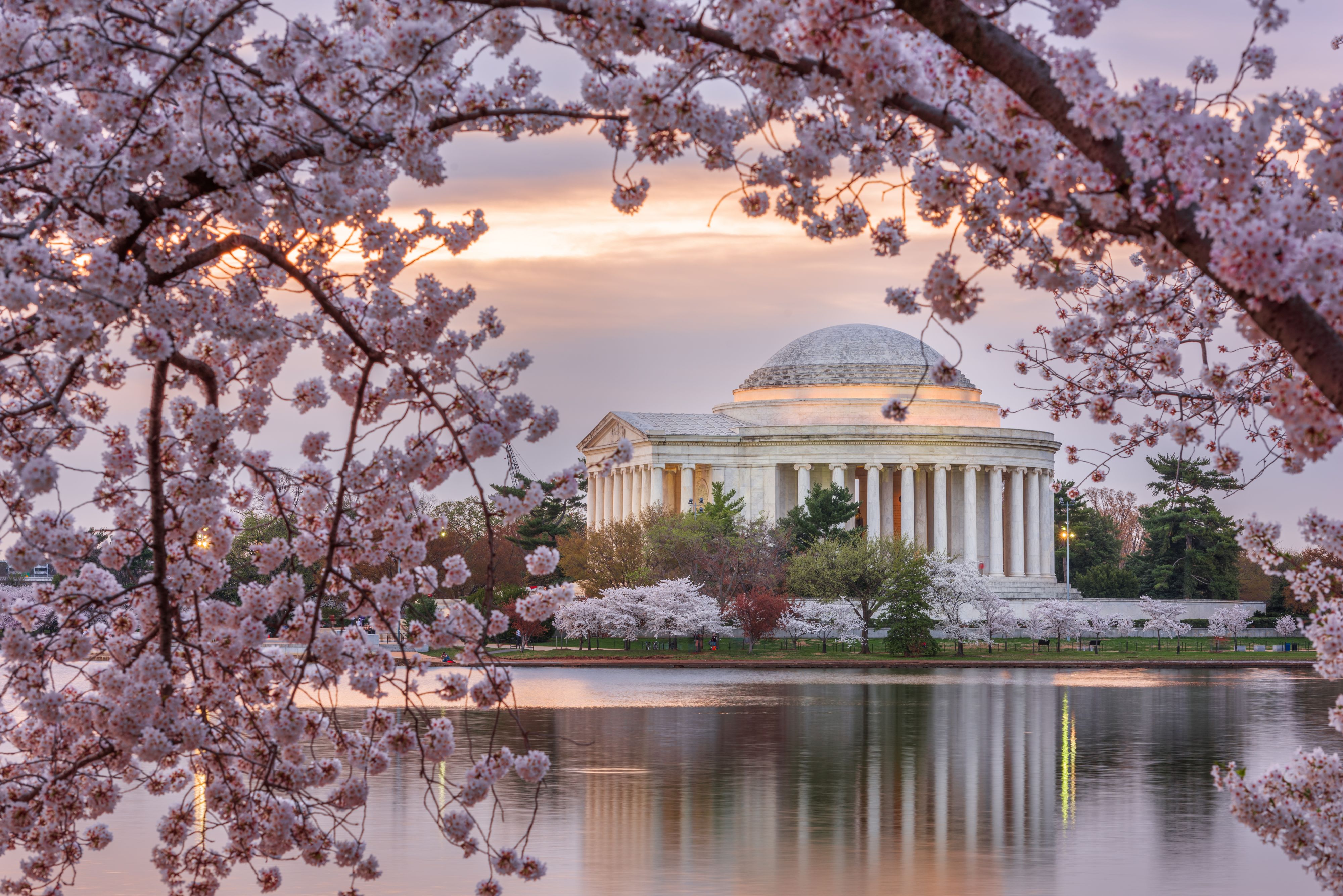 Spring in Washington DC