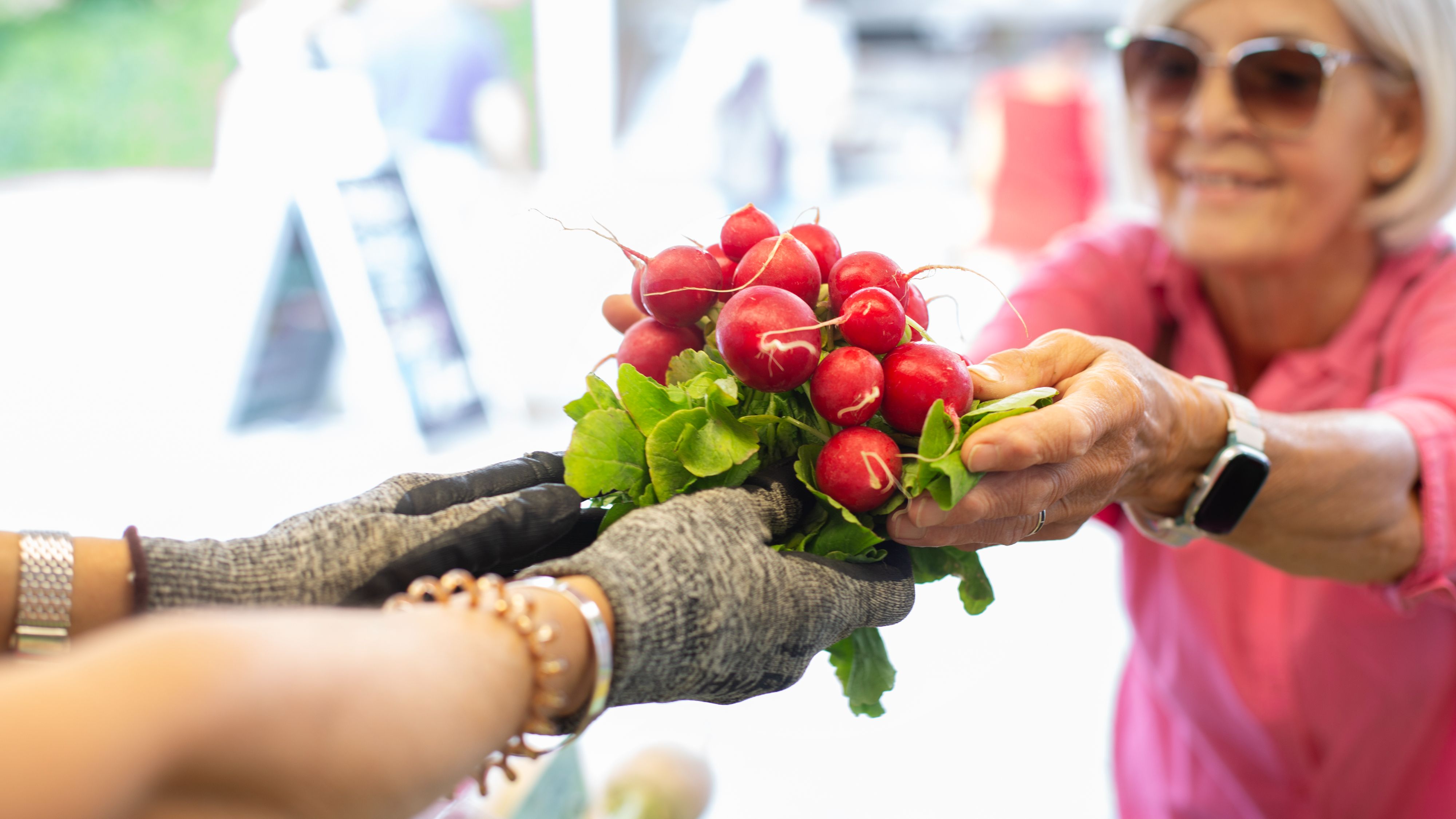 Patron getting vegetables from farmers market