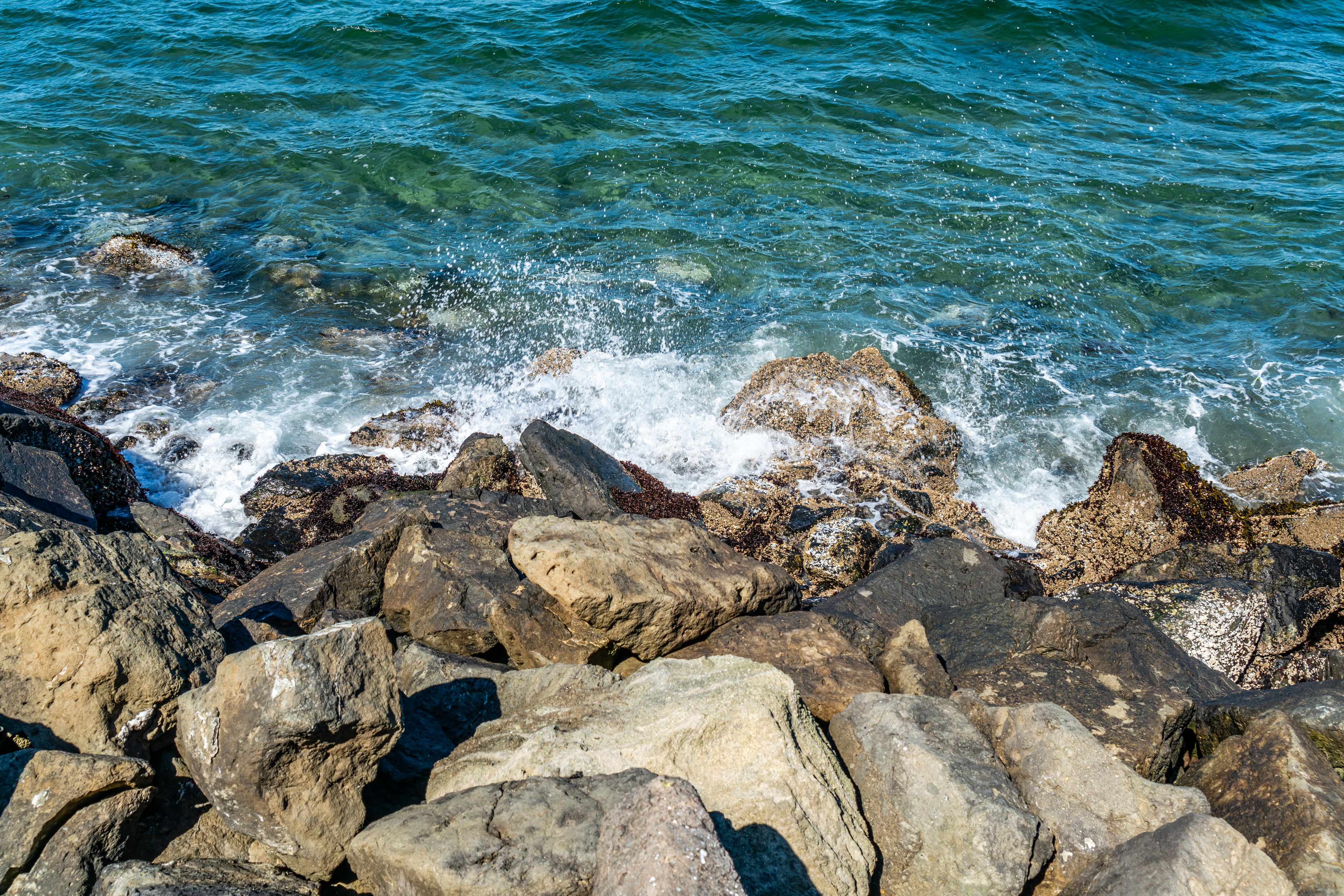 Rocks and water at Alki Beach.