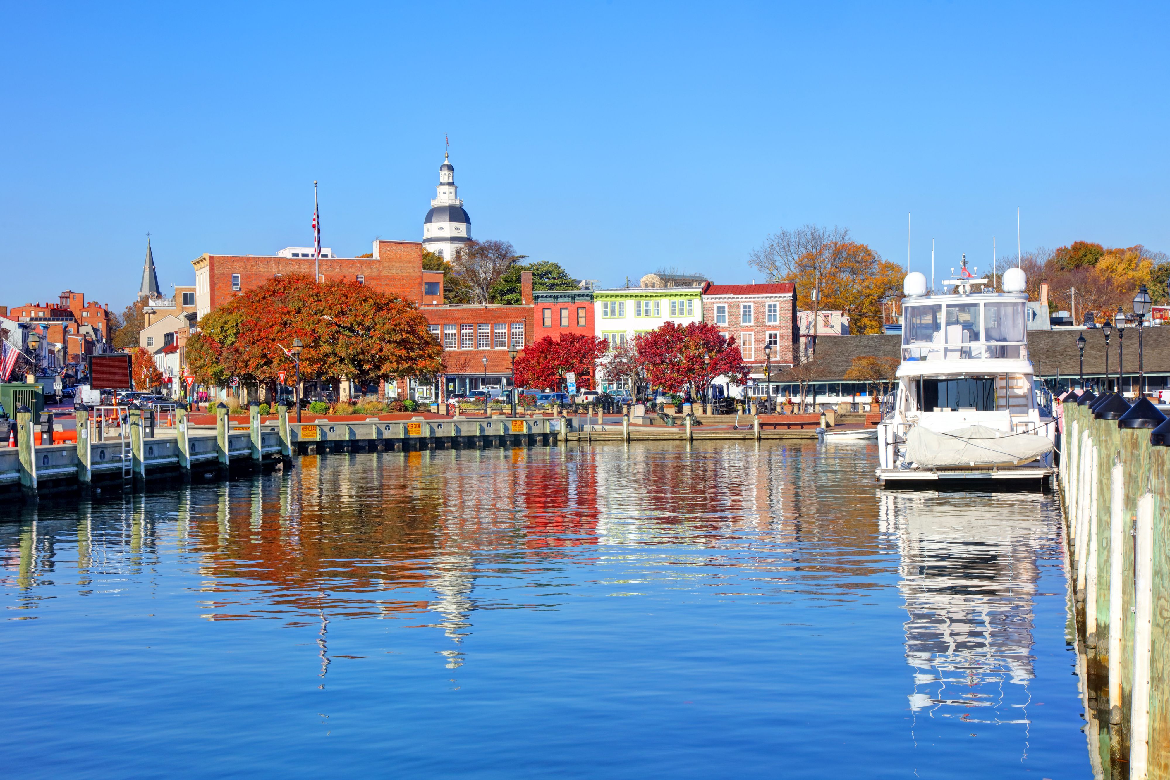 annapolis city dock