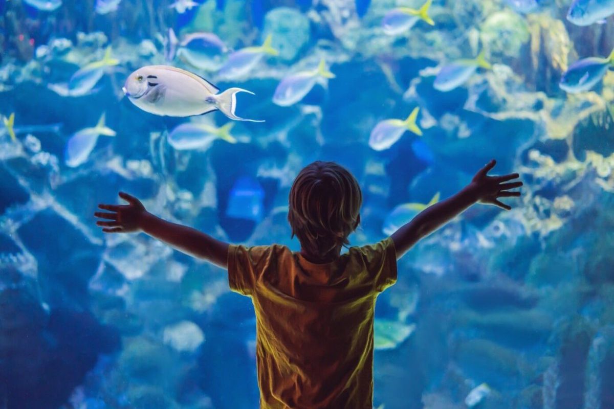 Boy with arms spread in front of aquarium tank