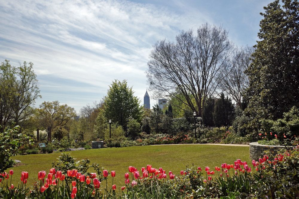 Atlanta Botanical Garden
