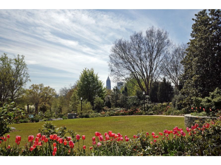 Atlanta Botanical Garden