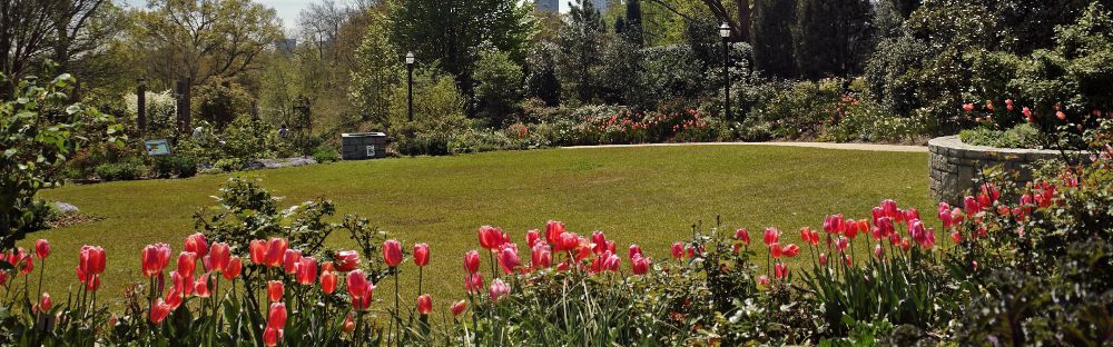 atlanta botanical garden