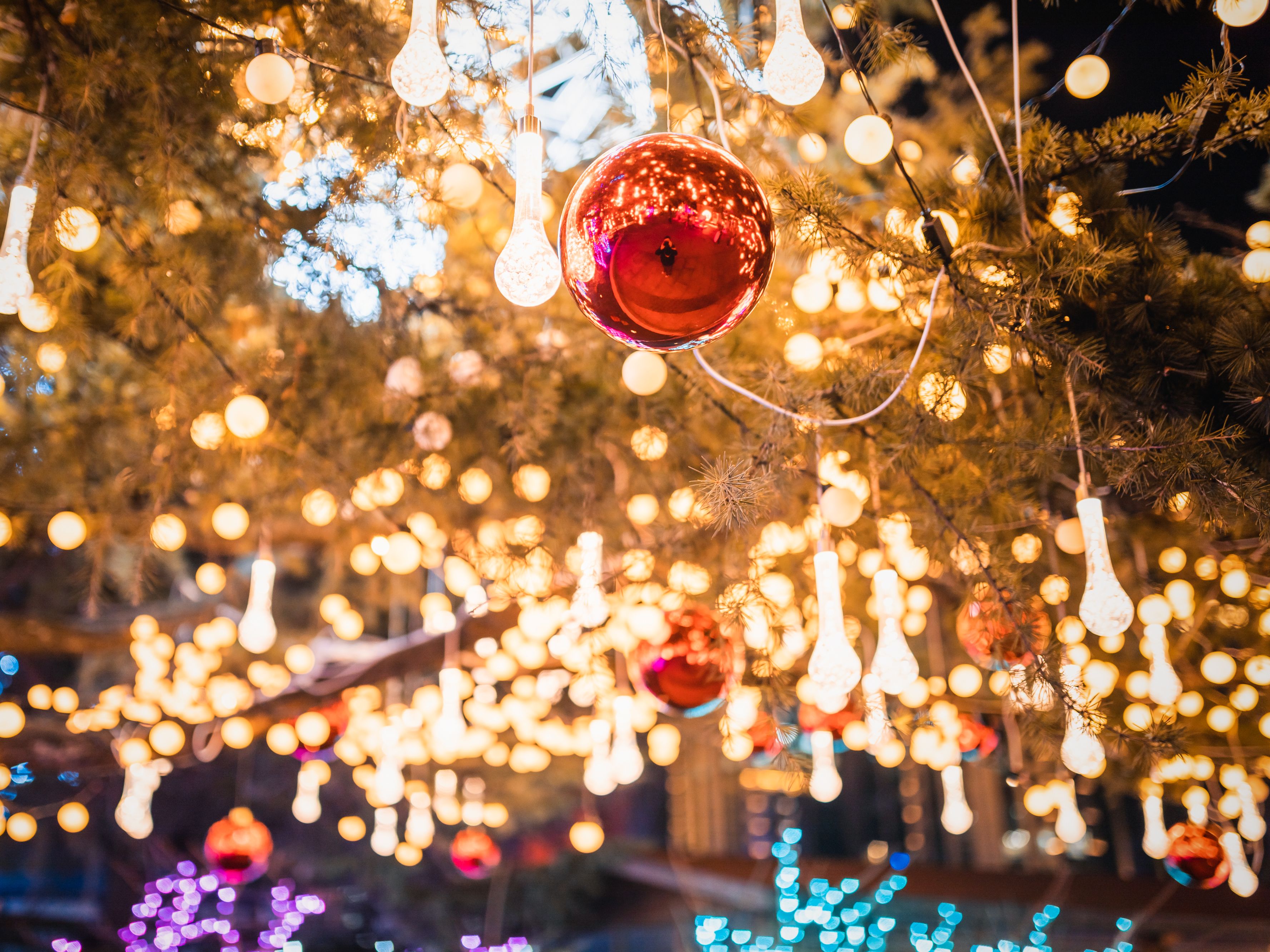 Christmas lights and ornaments at park