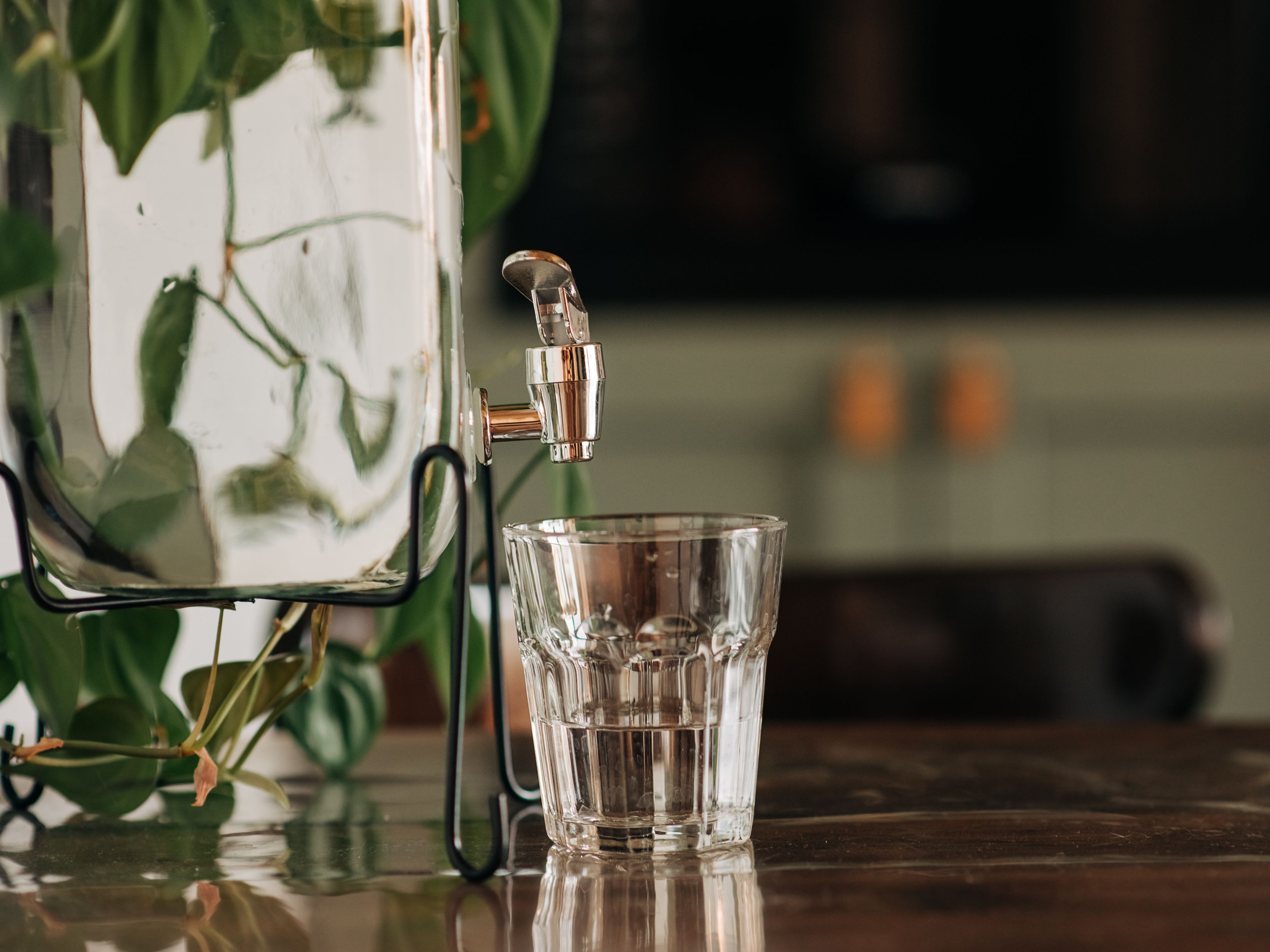 water pitcher