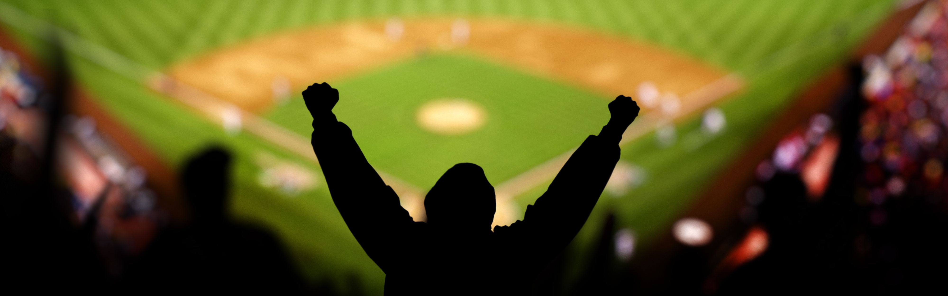 crowd at a baseball game