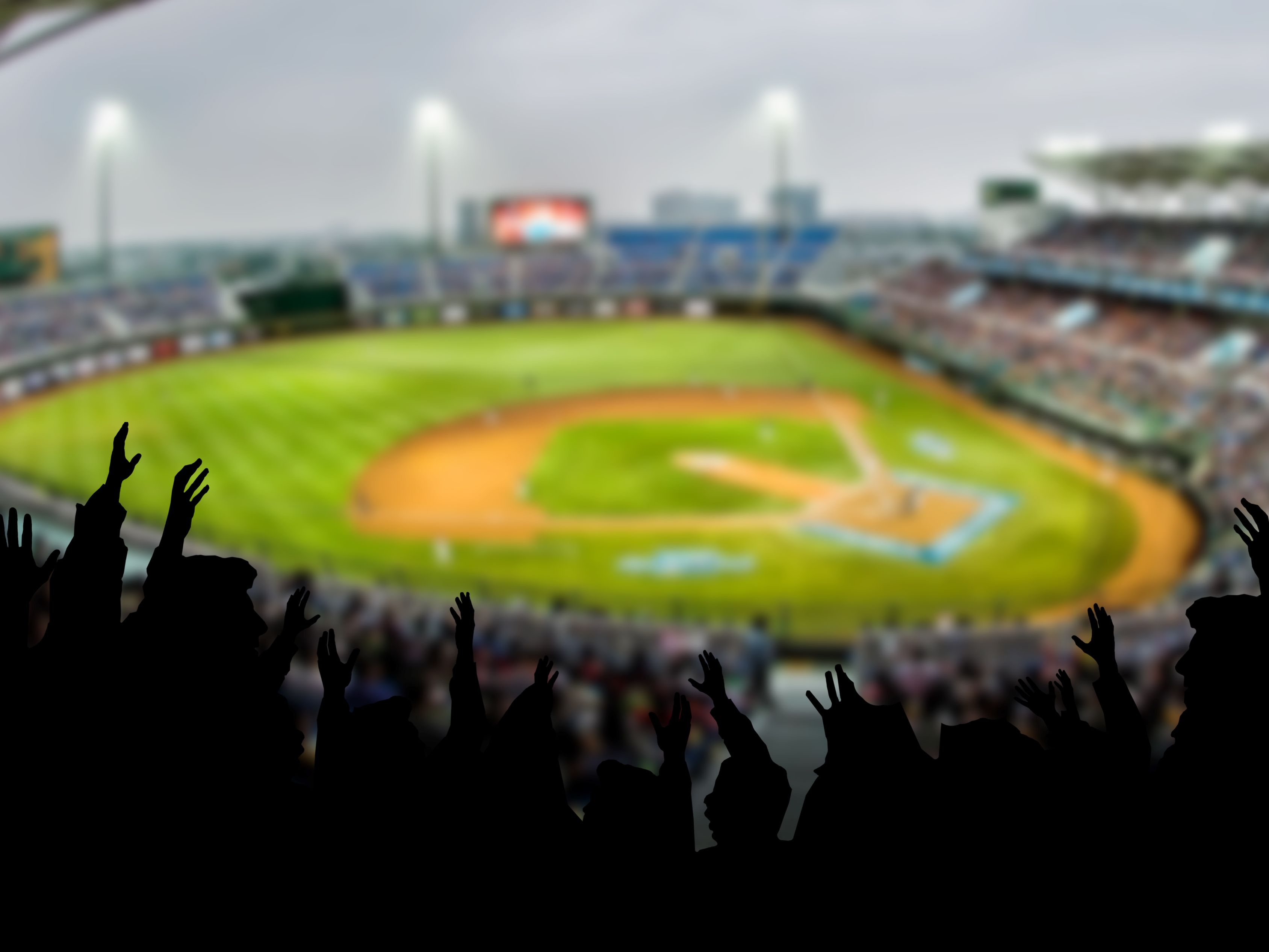 crowd at a baseball game