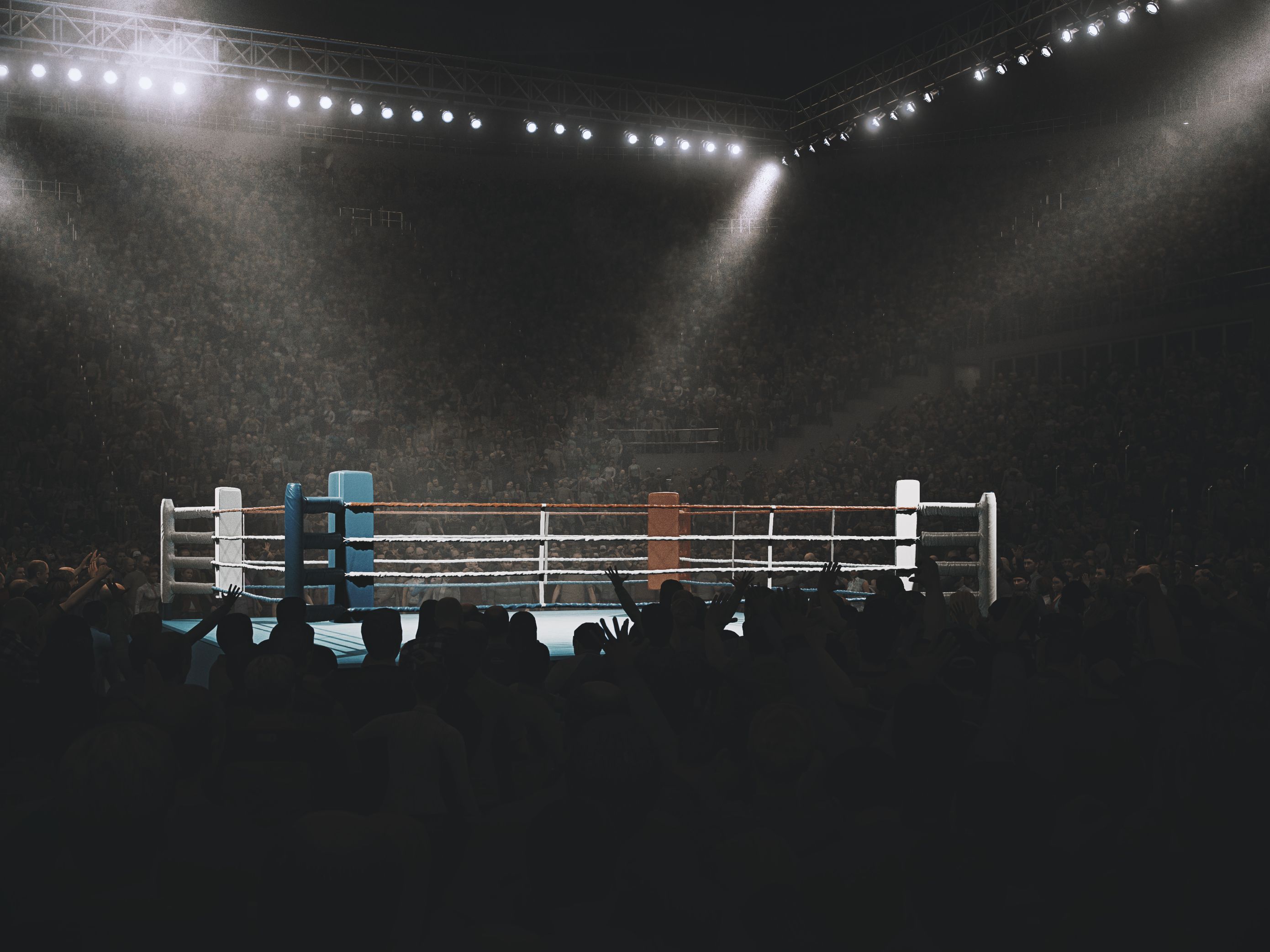 fighting ring