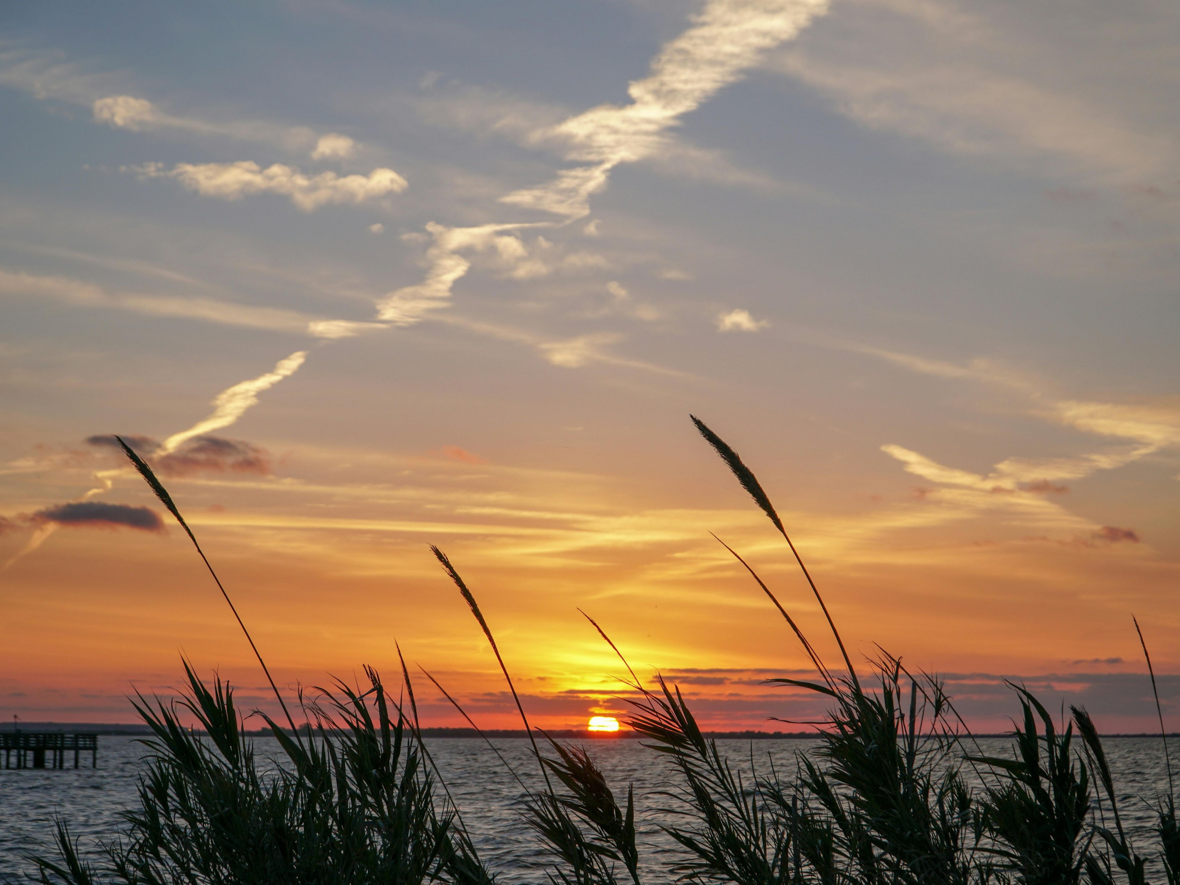 Discover the vibrant charm of Corpus Christi at Atwell Suites! Dive into coastal adventures, from sun-soaked beaches to thrilling water sports. Savor local flavors at nearby eateries and explore the rich culture and history of the area. Whether you're here for relaxation or exploration, your perfect getaway awaits just outside our doors.