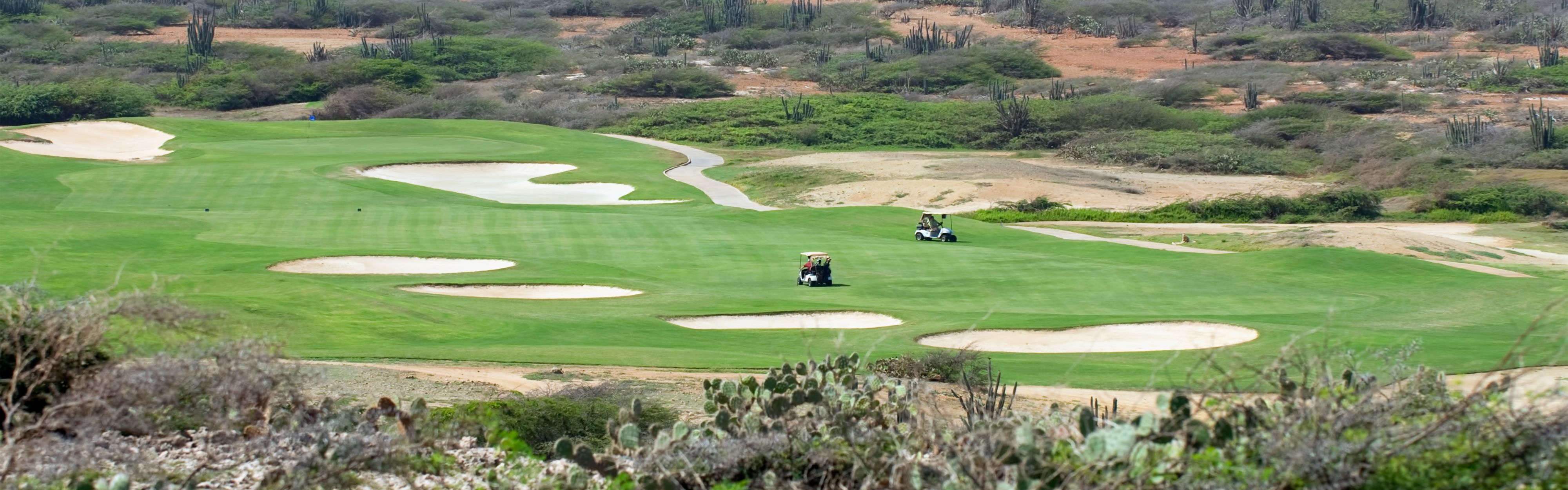 Campo de golf con carritos de golf
