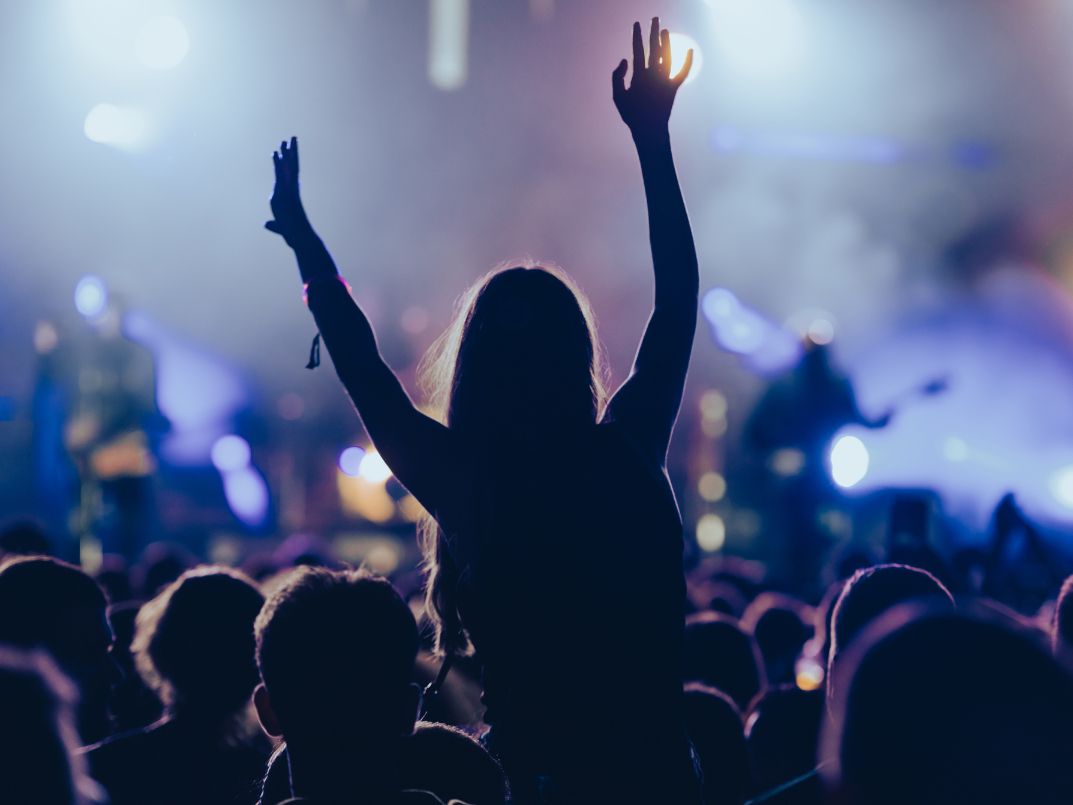 Audience enjoying live concert