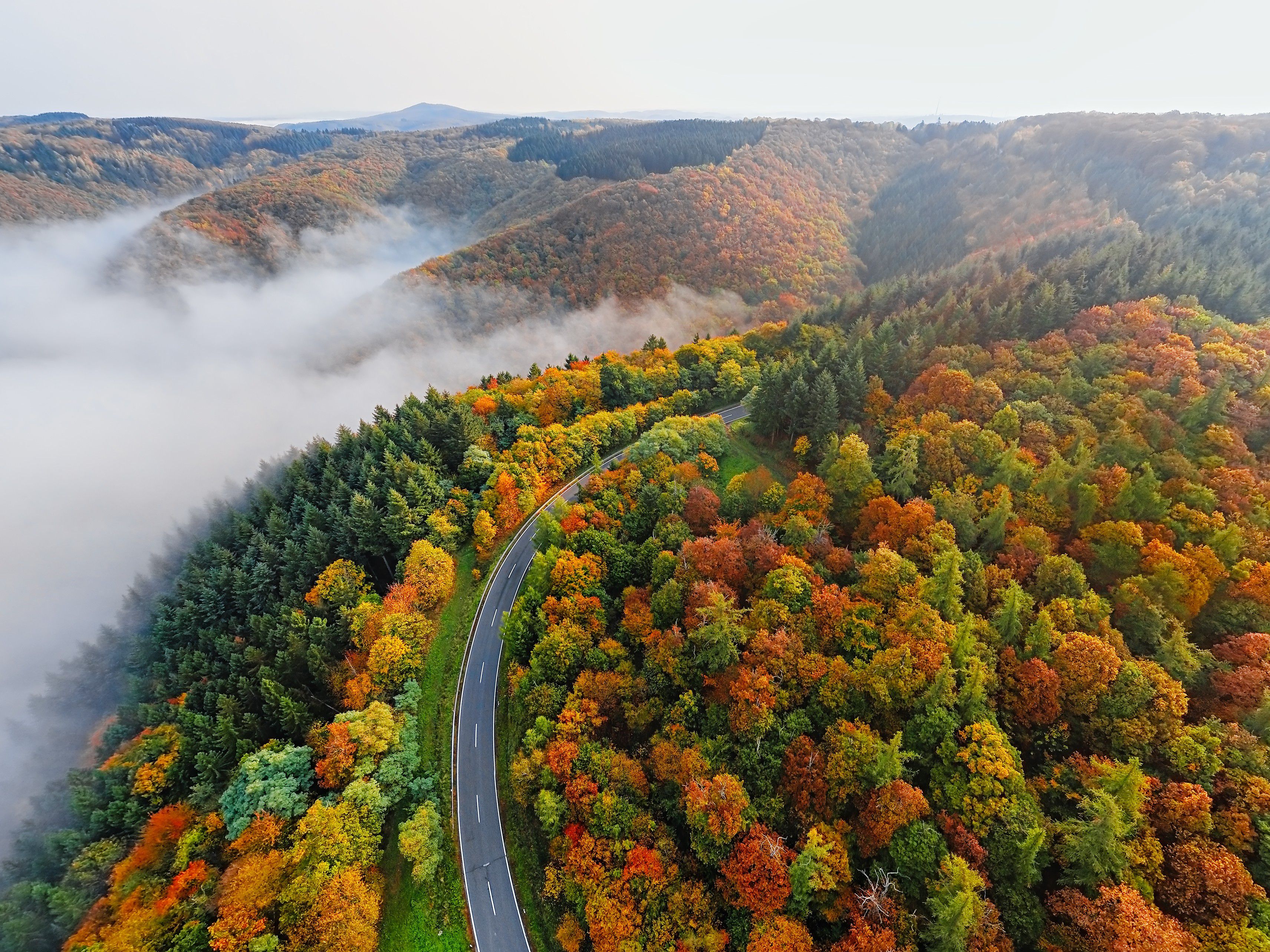 Amazing views of autumn